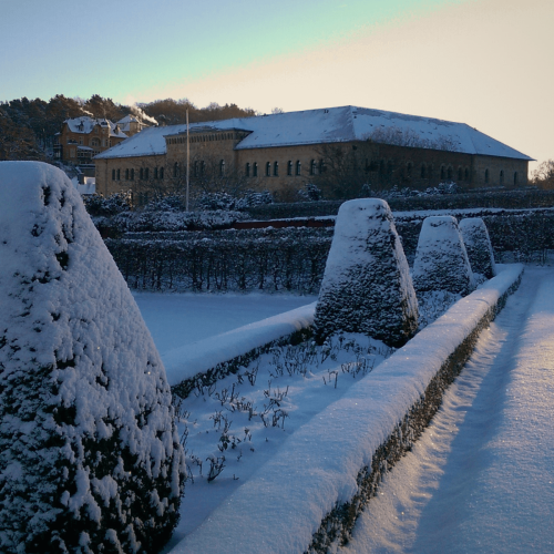 Winterambiente Blankenburg